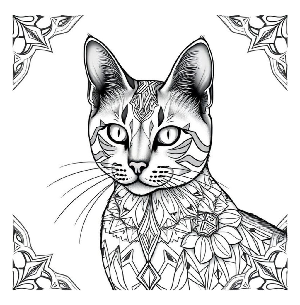 Whiskers & Wonders: Exotic Cats Around The Globe Coloring Adventure