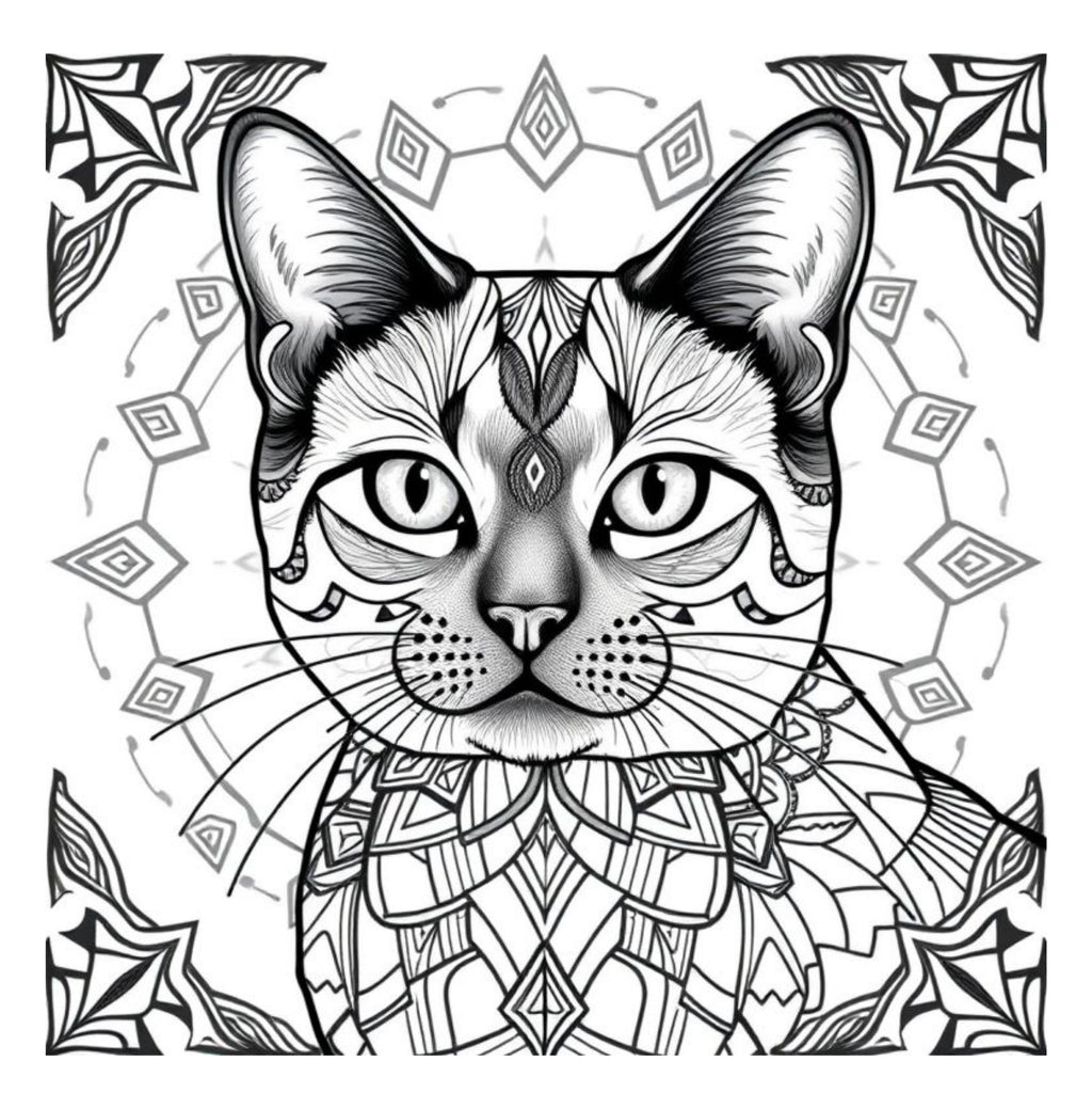 Whiskers & Wonders: Exotic Cats Around The Globe Coloring Adventure