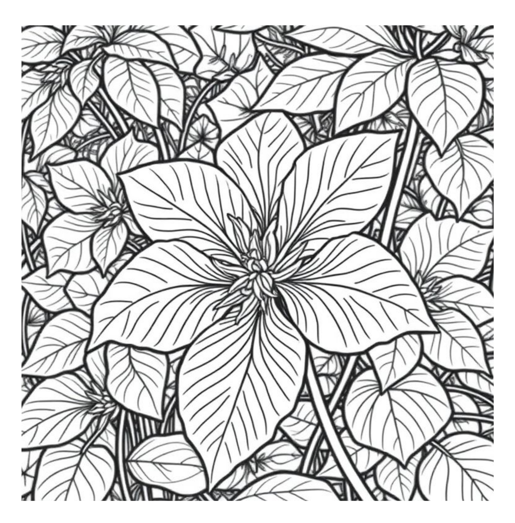 Bloom Art Flowers of the Land Coloring