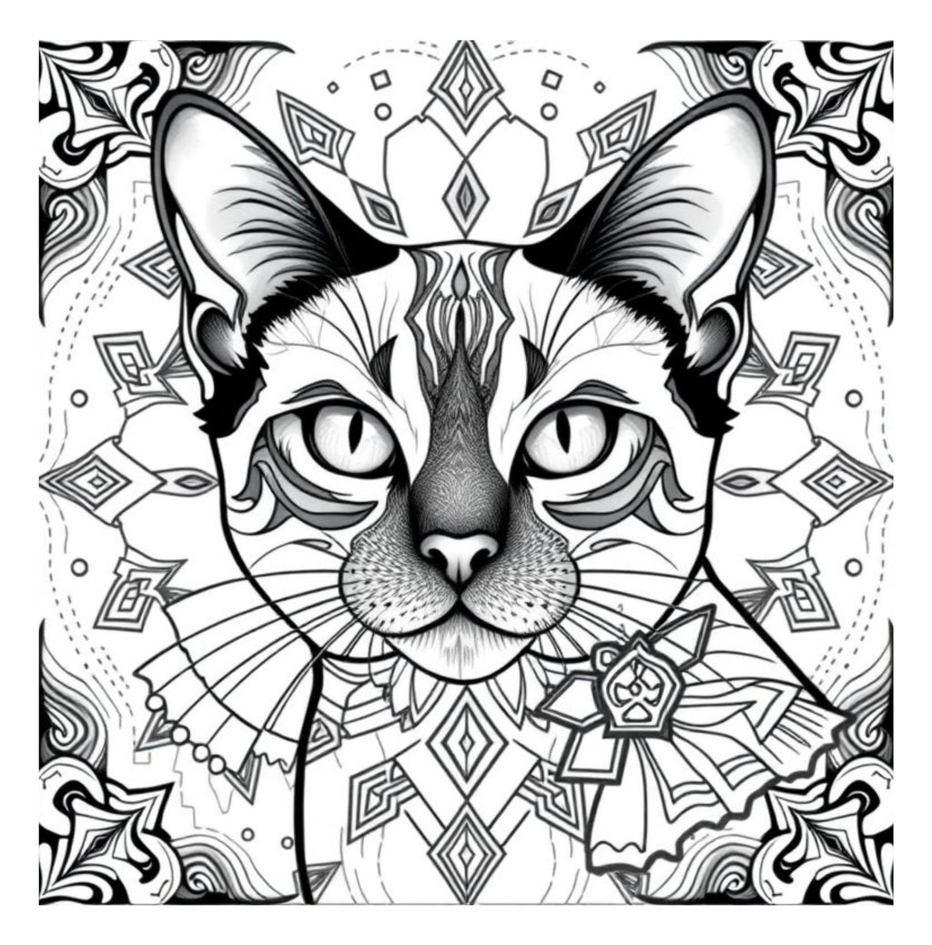 Whiskers & Wonders: Exotic Cats Around The Globe Coloring Adventure