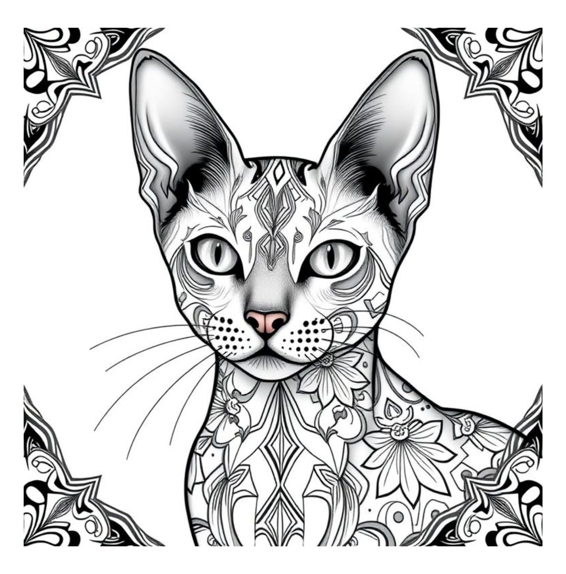 Whiskers & Wonders: Exotic Cats Around The Globe Coloring Adventure
