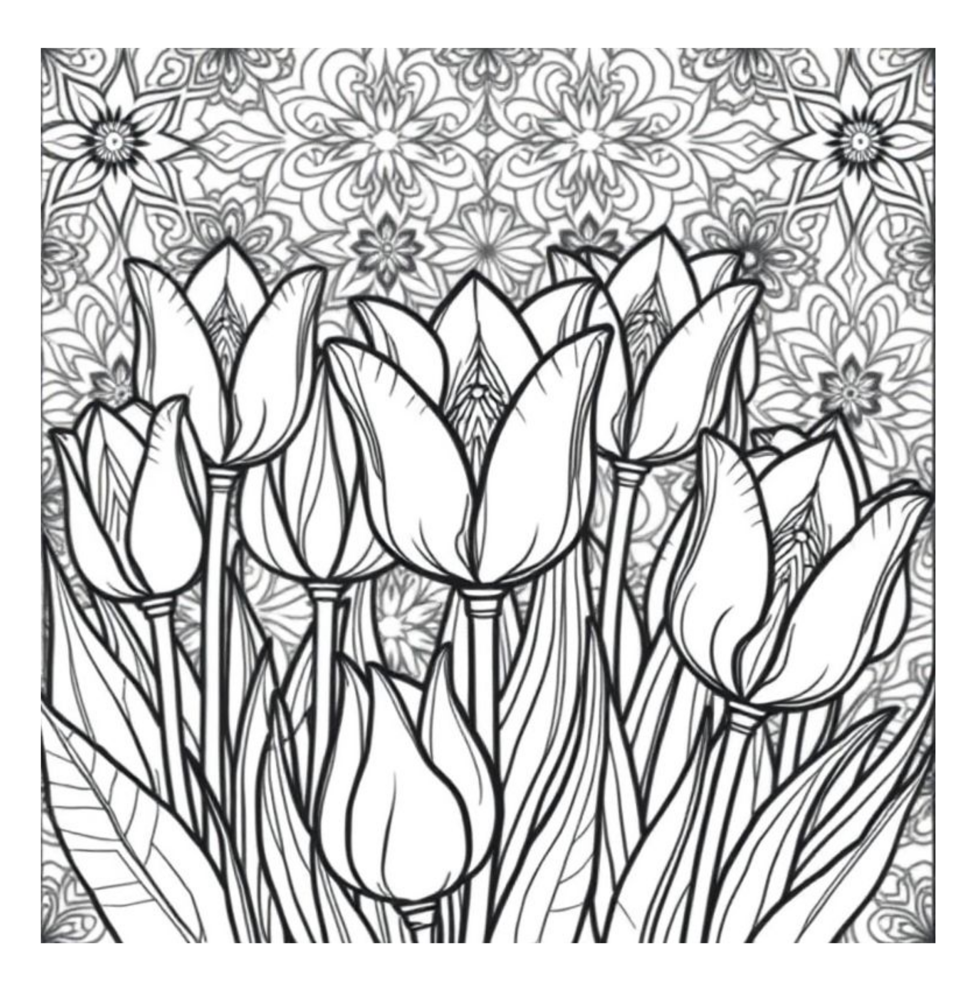 Bloom Art Flowers of the Land Coloring