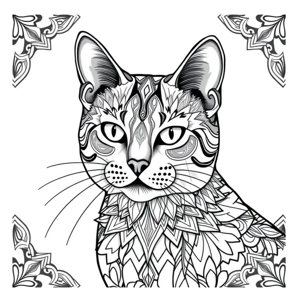 Whiskers & Wonders: Exotic Cats Around The Globe Coloring Adventure