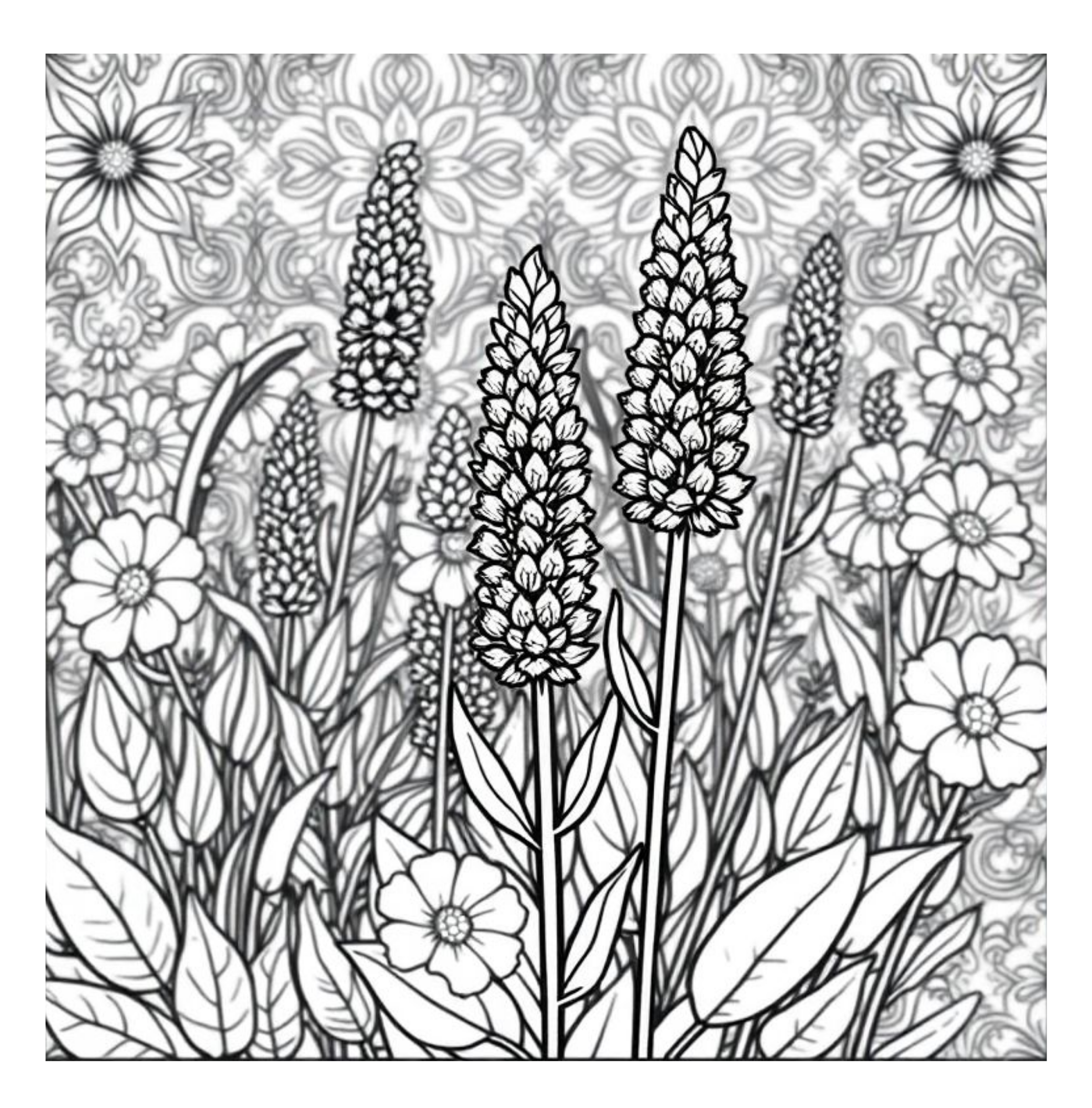 Bloom Art Flowers of the Land Coloring